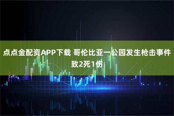 点点金配资APP下载 哥伦比亚一公园发生枪击事件致2死1伤