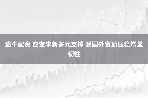 途牛配资 应变求新多元支撑 我国外贸顶压稳增显韧性