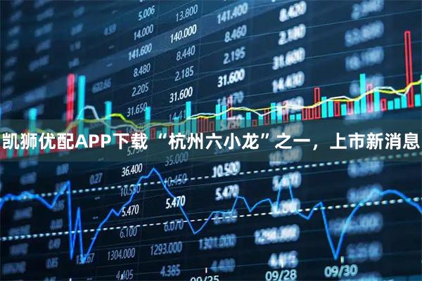 凯狮优配APP下载 “杭州六小龙”之一，上市新消息