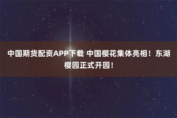 中国期货配资APP下载 中国樱花集体亮相！东湖樱园正式开园！