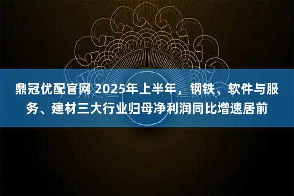 鼎冠优配官网 2025年上半年，钢铁、软件与服务、建材三大行业归母净利润同比增速居前